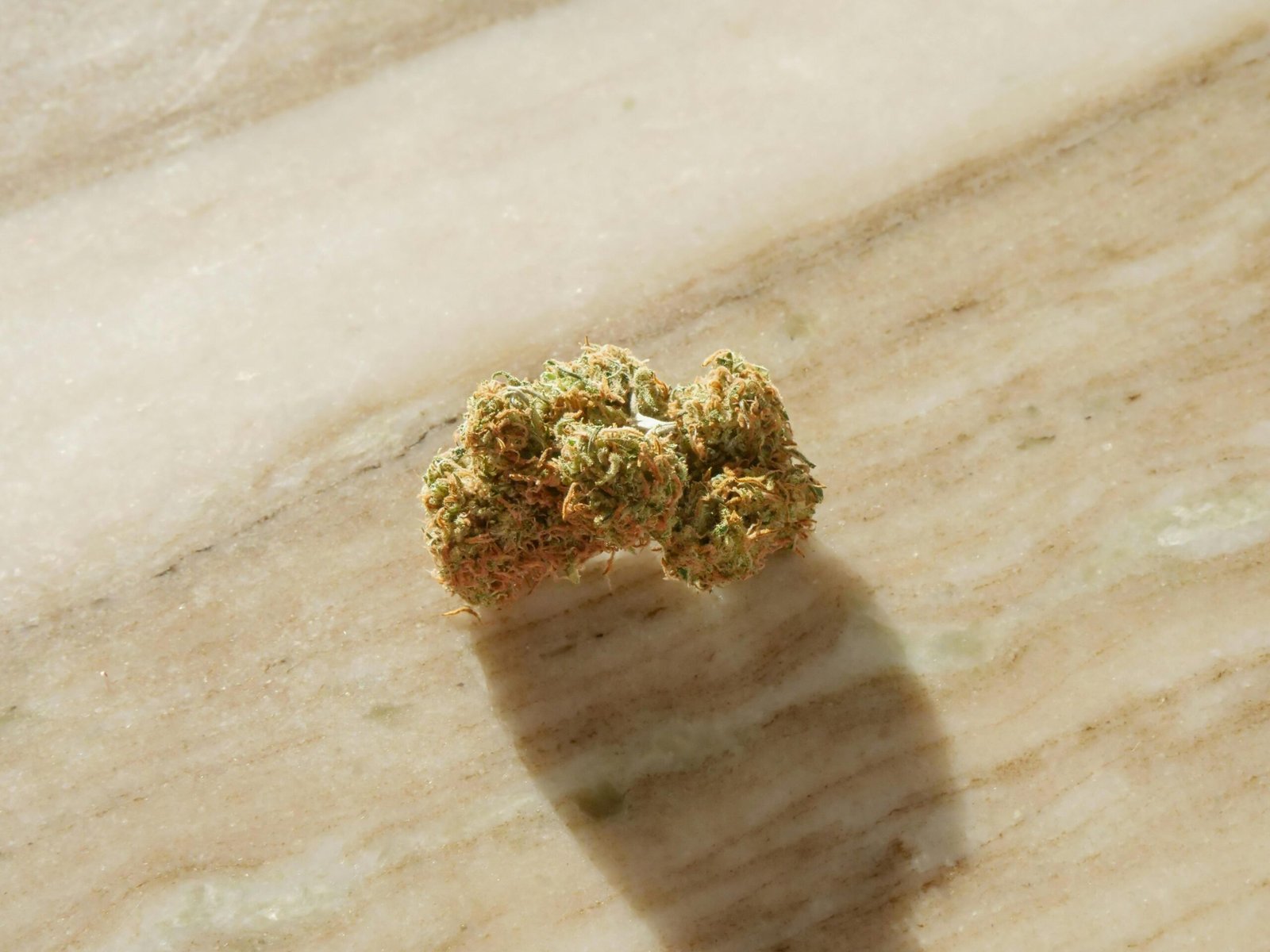 Amnesia Haze en France : entre culture urbaine, législation et tendances d’achat